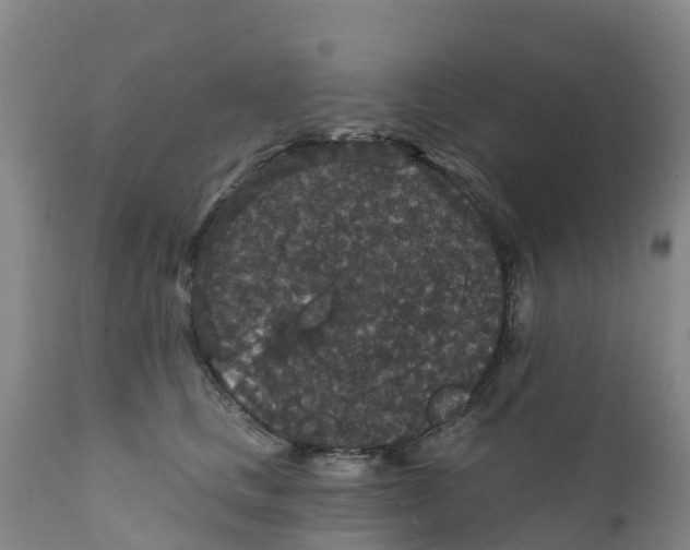 X0000111640661200908141408