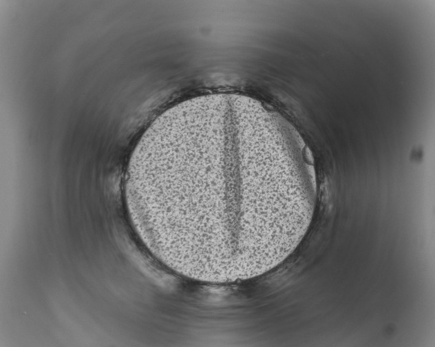X0000111640662200908141408