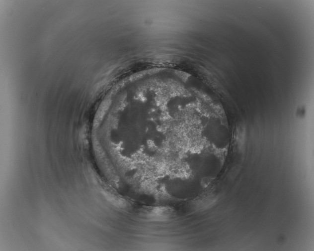 X0000111640663200908141408