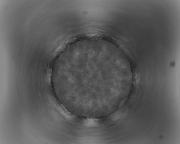 X0000111640664200908141408