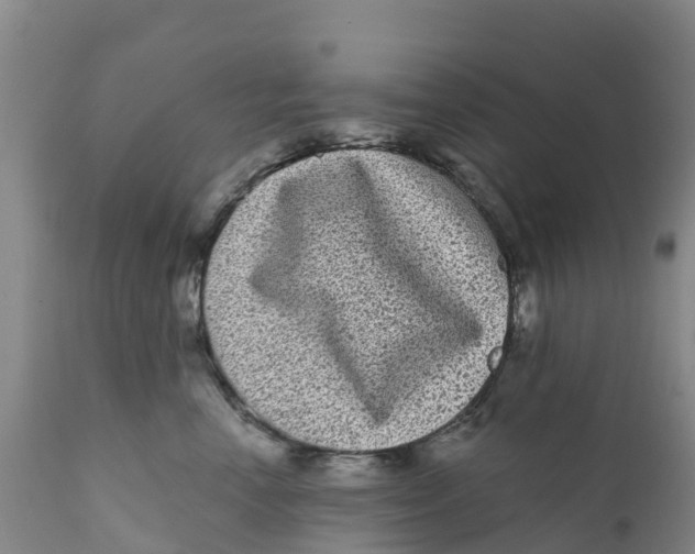 X0000111640666200908141408
