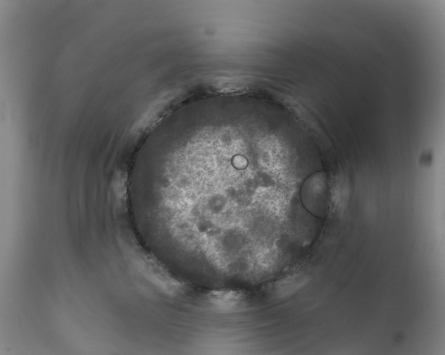 X0000111640667200908141408