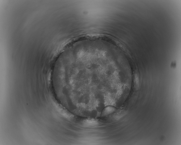 X0000111640668200908141408