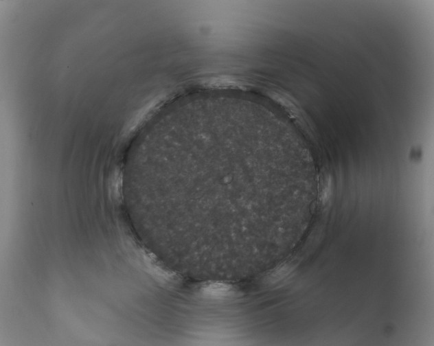 X0000111640669200908141408