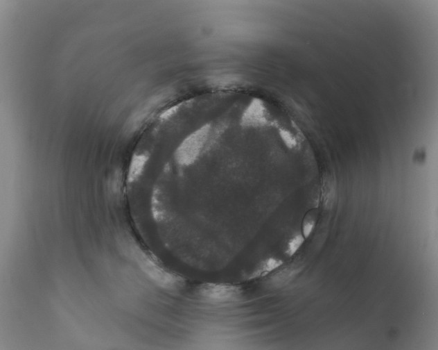 X0000111640670200908141409