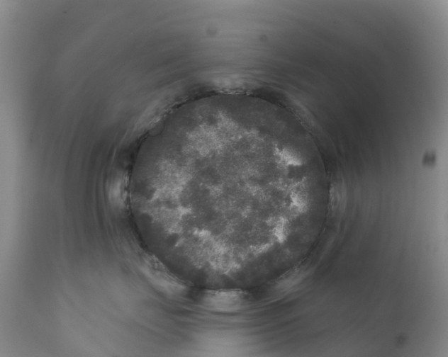 X0000111640671200908141409