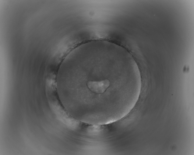 X0000111640672200908141409