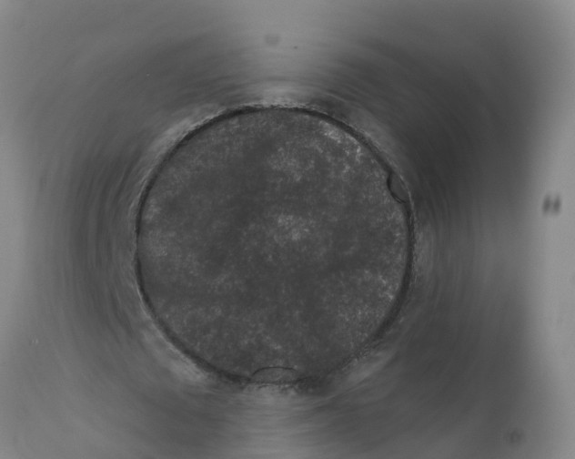 X0000111640673200908141408