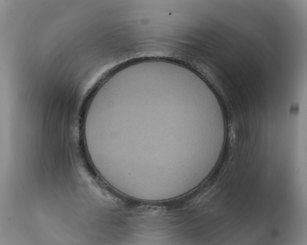 X0000111640676200908141408