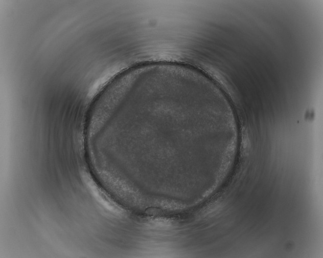 X0000111640677200908141408