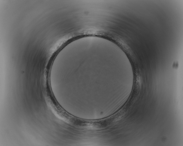 X0000111640678200908141408
