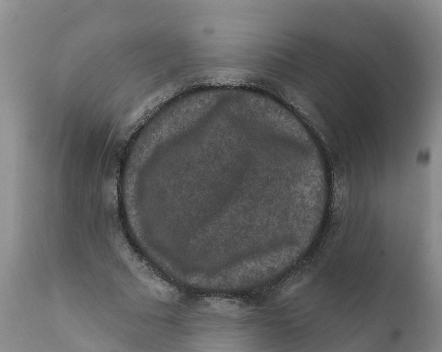 X0000111640681200908141407