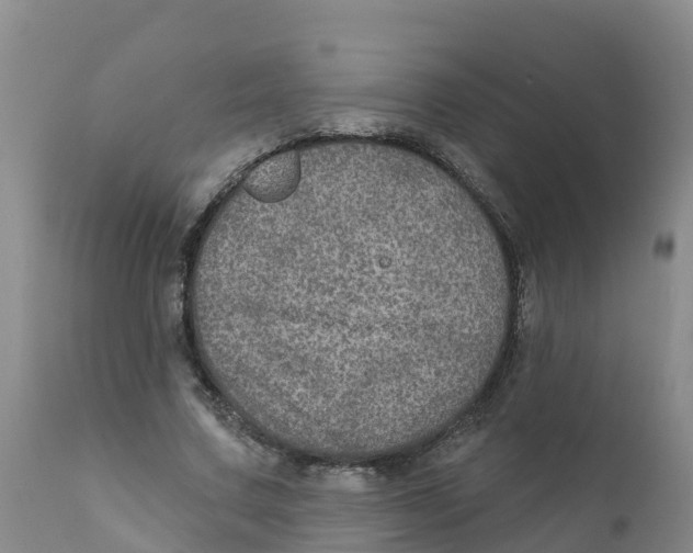 X0000111640683200908141407