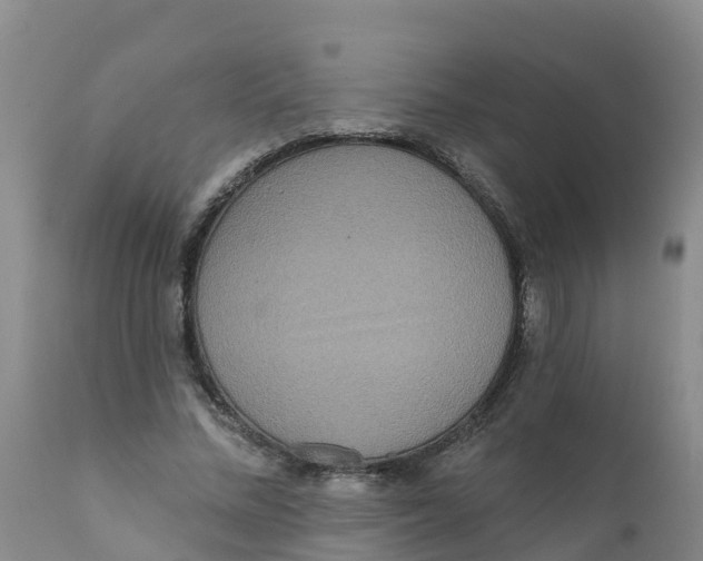 X0000111640684200908141407