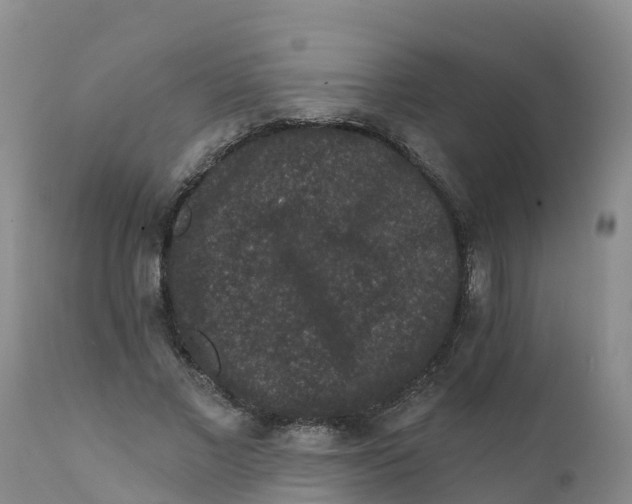 X0000111640685200908141407