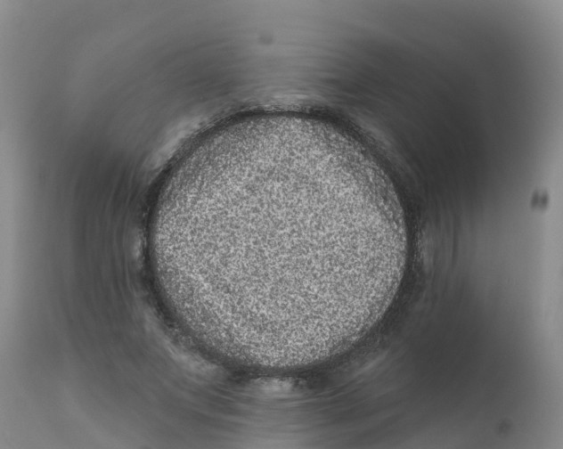 X0000111640687200908141407