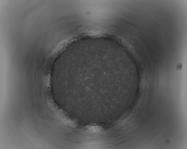 X0000111640689200908141407
