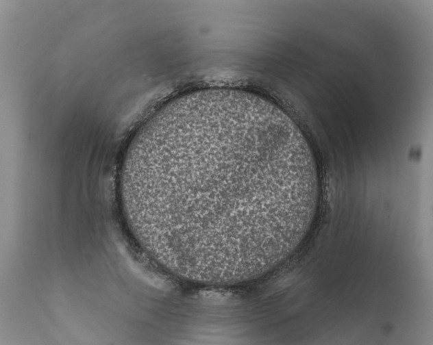 X0000111640690200908141407