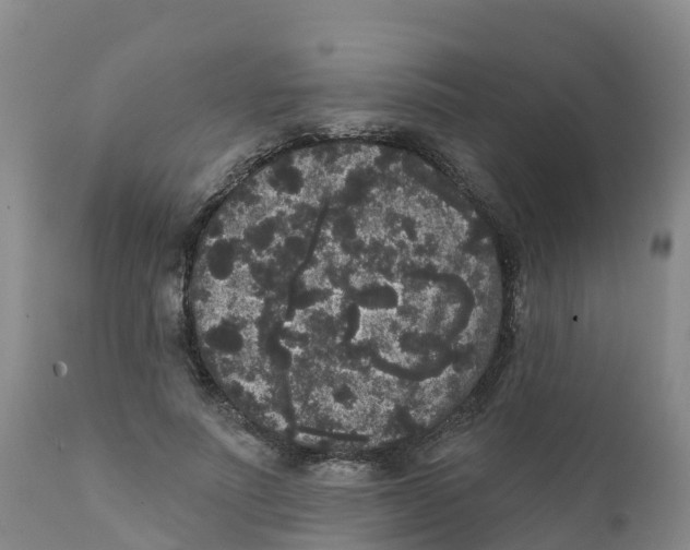 X0000111640691200908141407