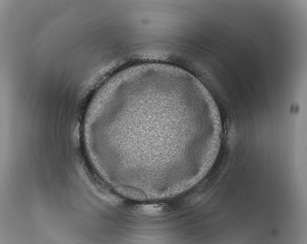 X0000111640692200908141407