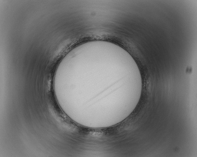 X0000111640694200908141407