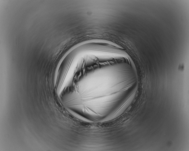 X0000111640697200908141407