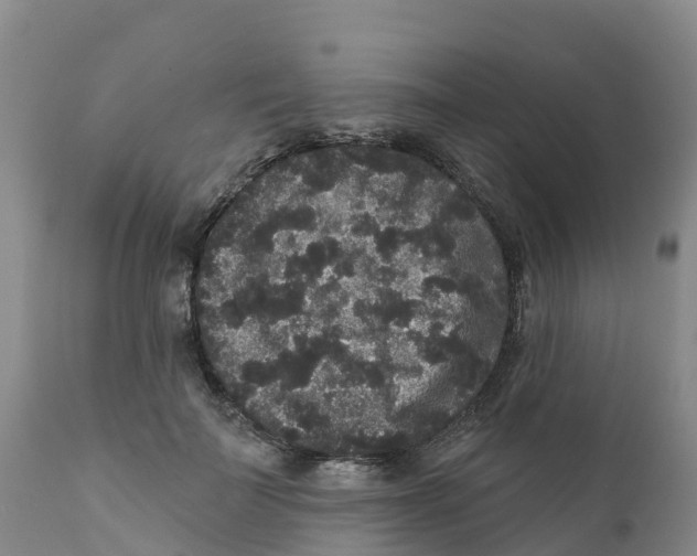 X0000111640699200908141407