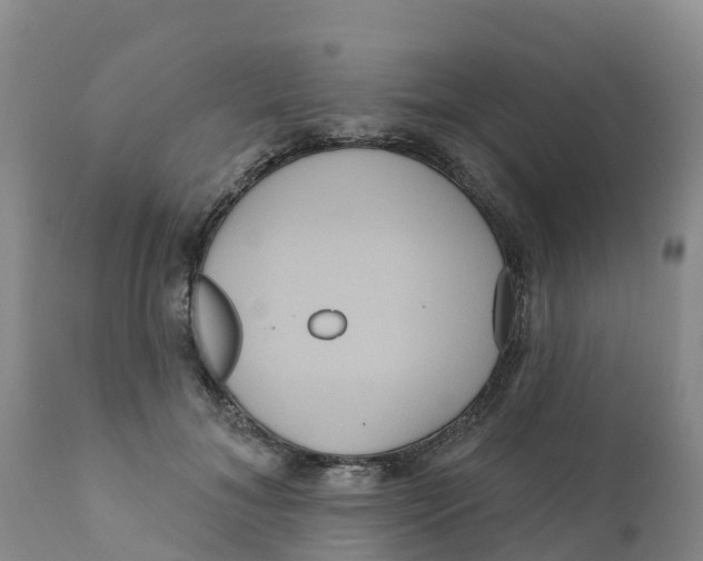 X0000111640700200908141407