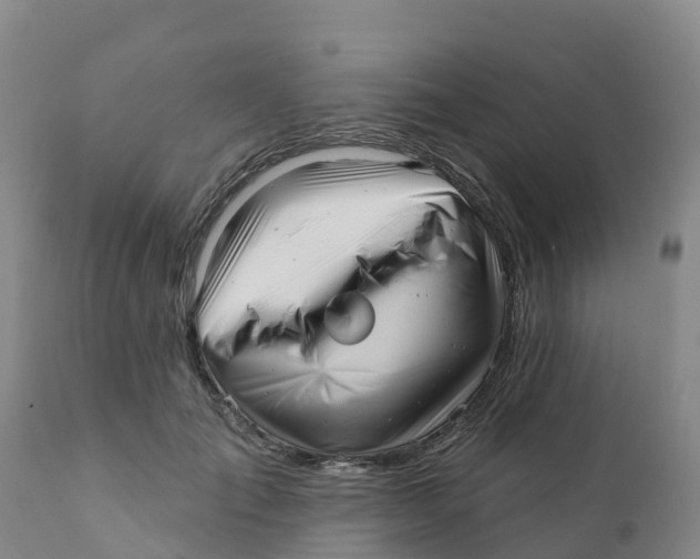 X0000111640701200908141407