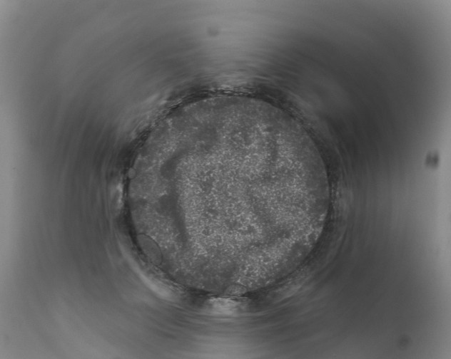 X0000111640703200908141407