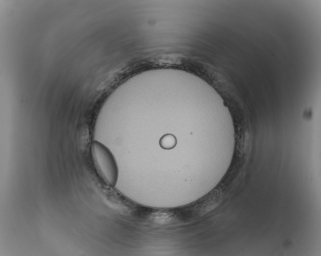X0000111640704200908141407