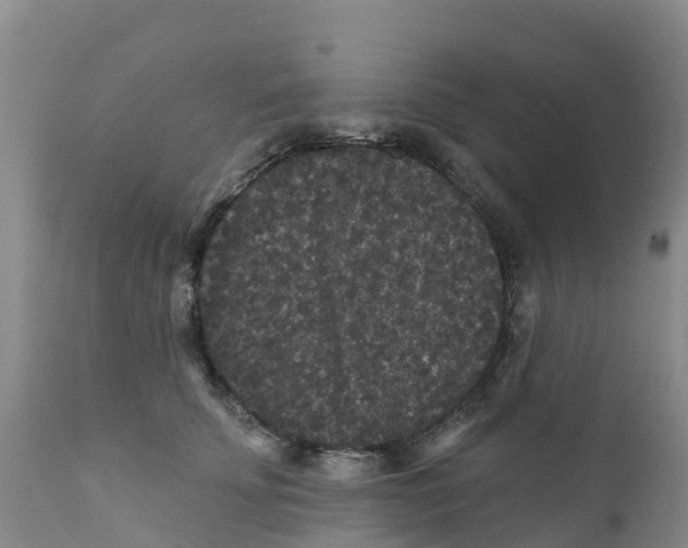 X0000111640707200908141407