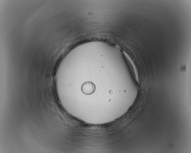 X0000111640708200908141407