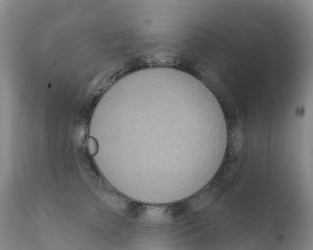 X0000111640709200908141407