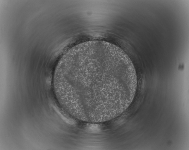 X0000111640710200908141407