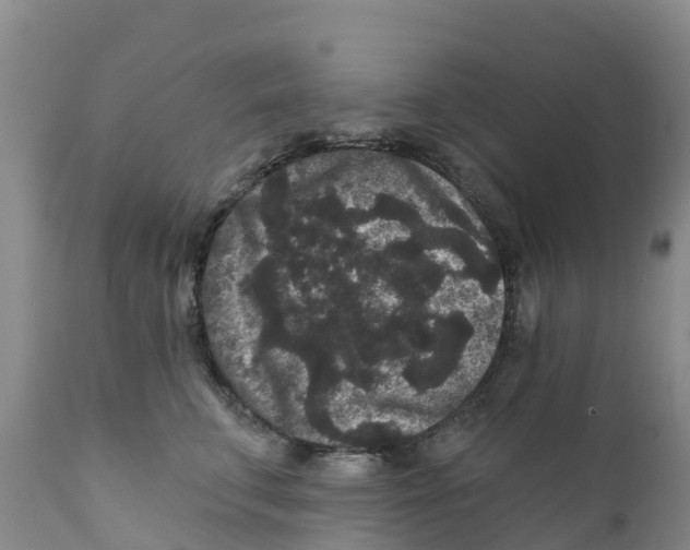 X0000111640711200908141407