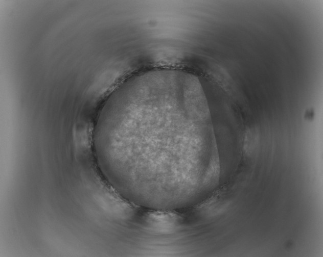 X0000111640712200908141407
