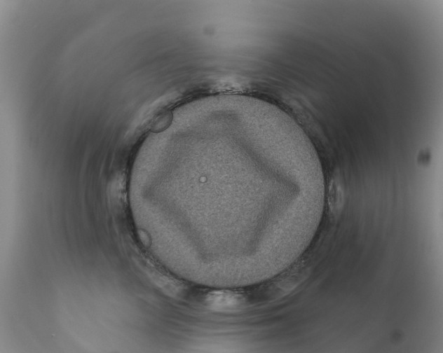 X0000111640714200908141407