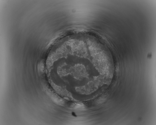 X0000111640715200908141407