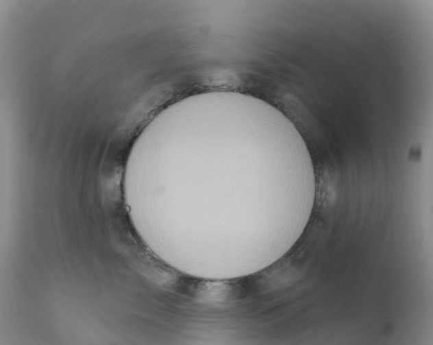 X0000111640717200908141407