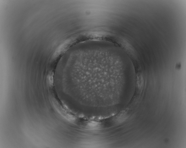 X0000111640718200908141407