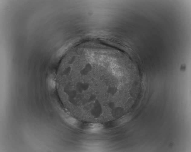X0000111640719200908141407