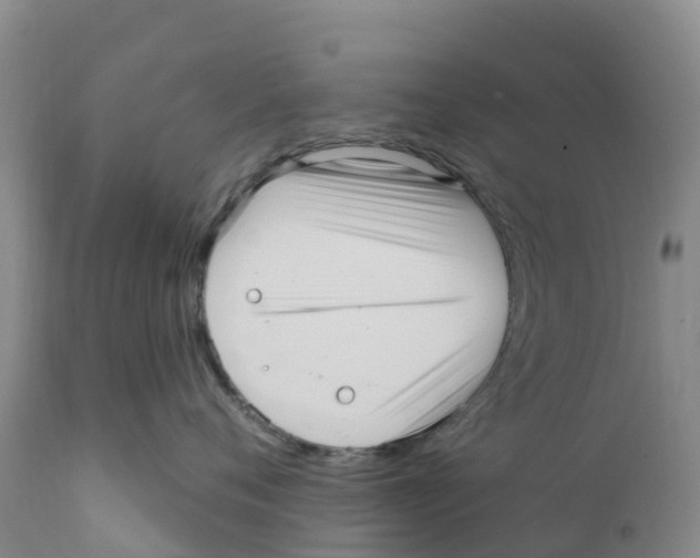 X0000111640720200908141407
