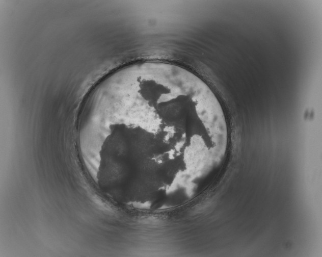 X0000111640721200908141406