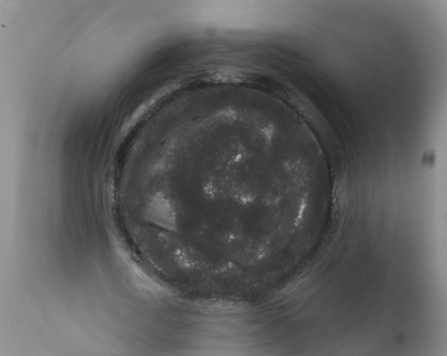 X0000111640722200908141406