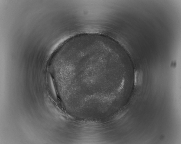 X0000111640723200908141406