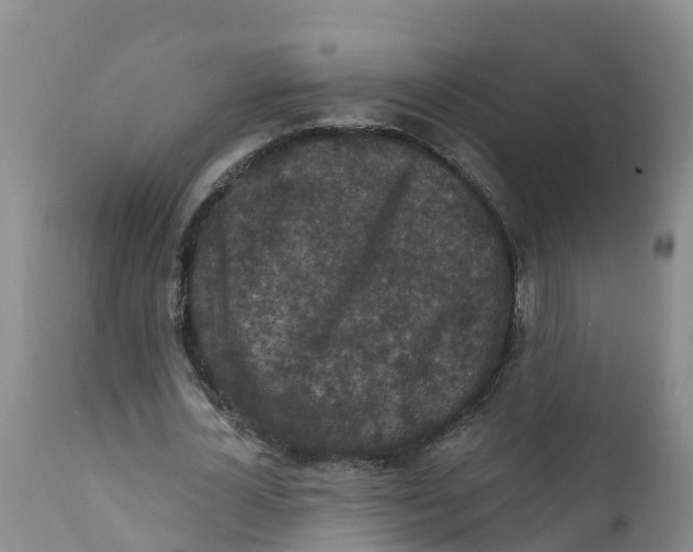 X0000111640724200908141406