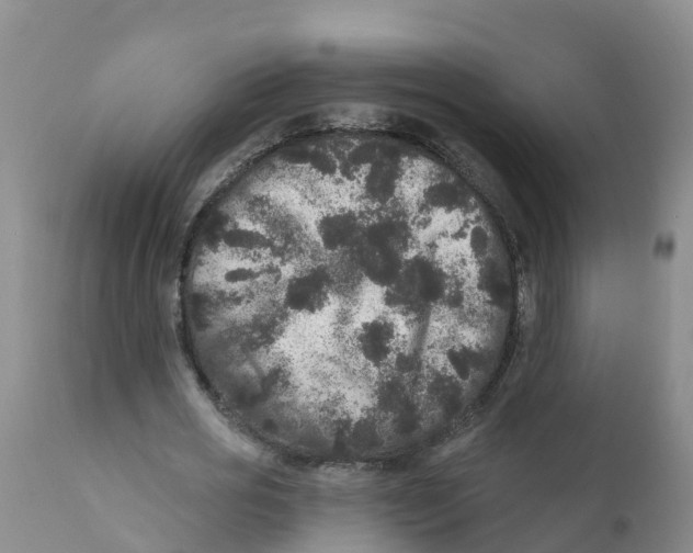 X0000111640725200908141406