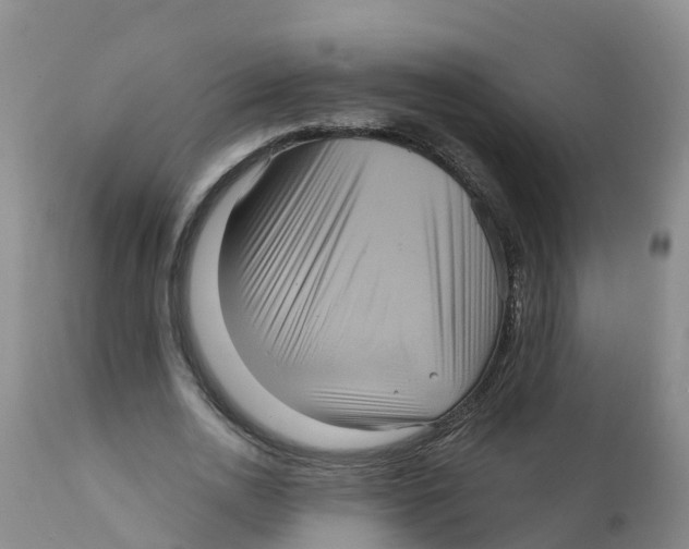 X0000111640726200908141406