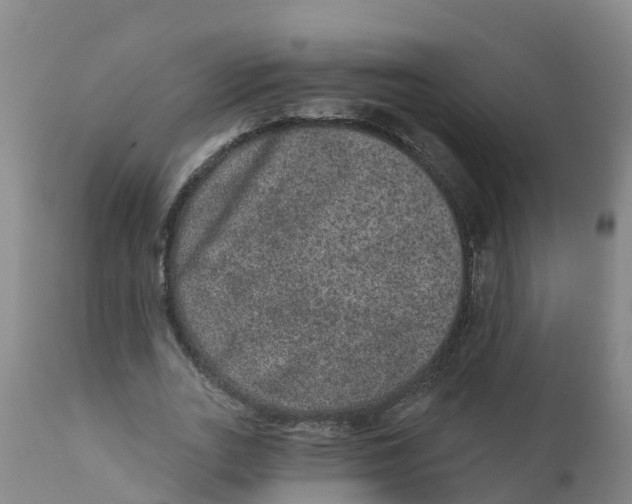 X0000111640727200908141406